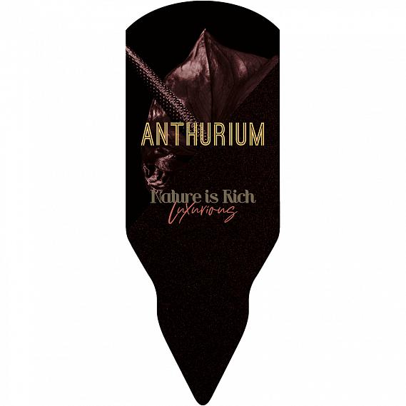 Anthurium <br> 58 x 152 mm